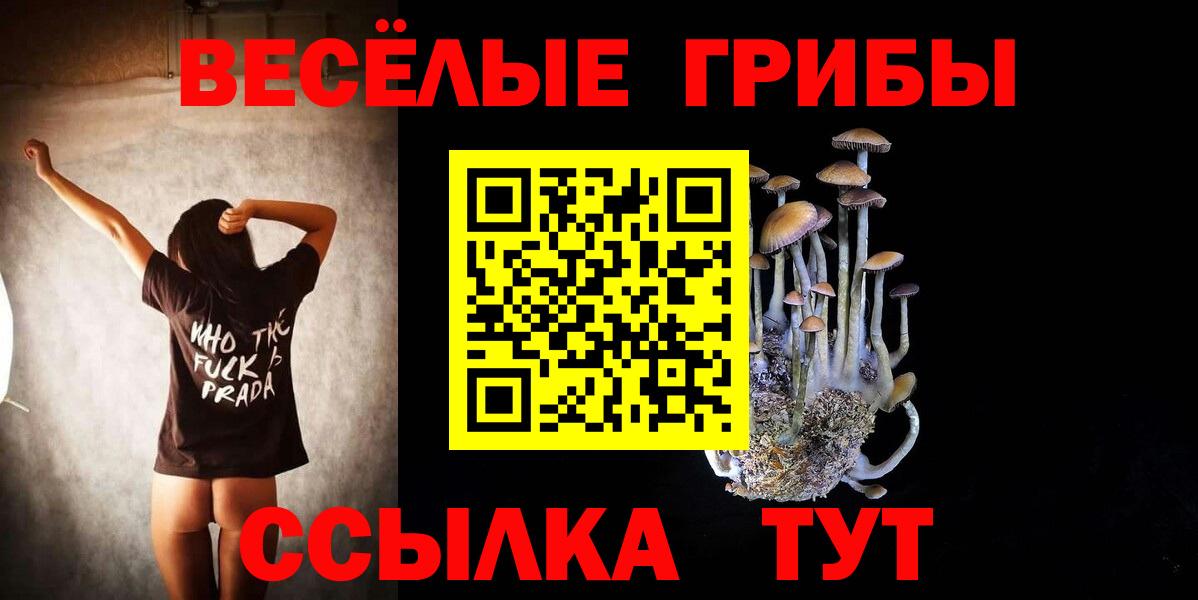 Псилоцибиновые грибы Cubensis  Галлюциногенные грибы мицелий  Вход с VPN  Канск 